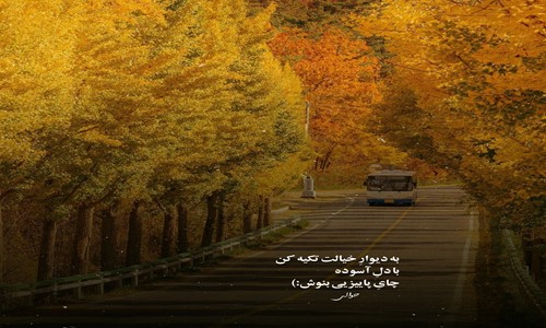 شایع خیابونا به ما اینو کرد دیکته لاشی عین سگ ریخته